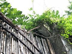 -嘉善路(地铁站)