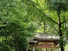 -刘伯温故里景区百丈漈