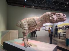 -香港科学馆