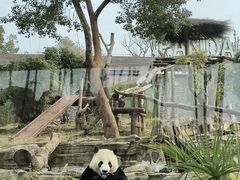 -武汉动物园