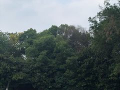 -雨花台烈士纪念馆