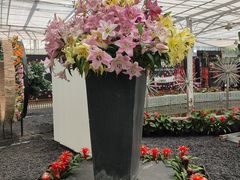 -上海鲜花港