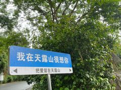 -广东天露山旅游度假区