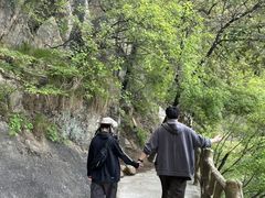 -洛阳白云山景区