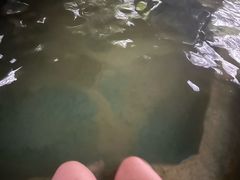 -张家港金凤凰度假村温泉