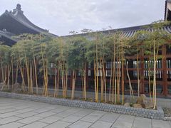 -溪口-滕头旅游景区