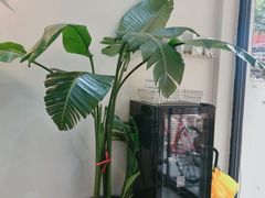 -常识咖啡common sense(春熙路店)