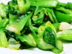 生炒水东芥-瑞记湛江鸡饭店·粤西第一鸡(粤垦店)