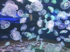 -多彩贵州城极地海洋世界