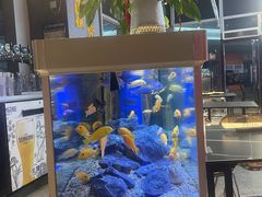 -黄鱼炙夜·烧烤·小龙虾(世茂缤谷店)