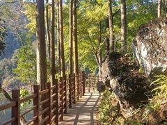 -广州市石门国家森林公园
