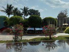 -味餐厅·海鲜·火锅·自助餐