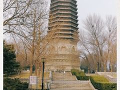 -玲珑塔公园