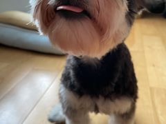 -屋里家延边朝鲜族冷面(梅林3店)