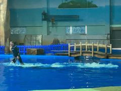 -华夏文旅海洋公园