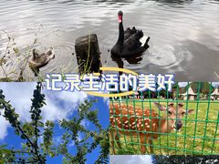 -神农架景区