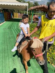 -萌宠亲子动物乐园(槐房万达店)