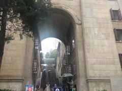 -武汉大学-樱园