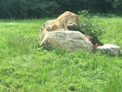 -西安秦岭野生动物园