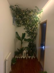 点击看大图 -丹漪·DANYI 美肤中心