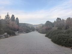 -国家植物园南园