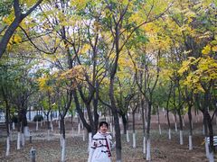景点-青龙湖公园