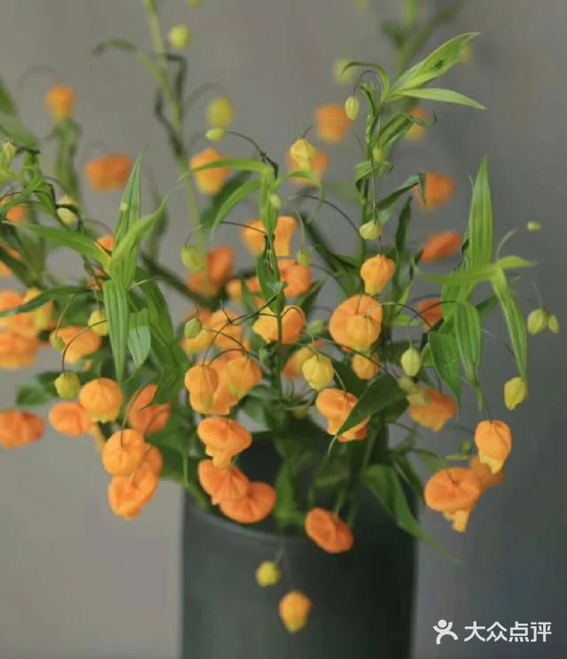 💢🌟鲜花中的爱马仕🌟💢