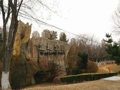 -前关湿地公园