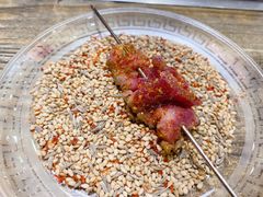 -海波肉串(金顶山大街店)