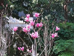 -晓港公园