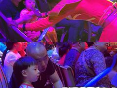 -灵玲国际马戏城