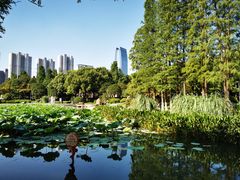 -昆山城市公园