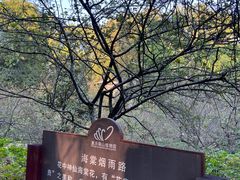 -南山植物园