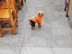 -渔家小院观海海肠捞饭地方菜(环海中路店)