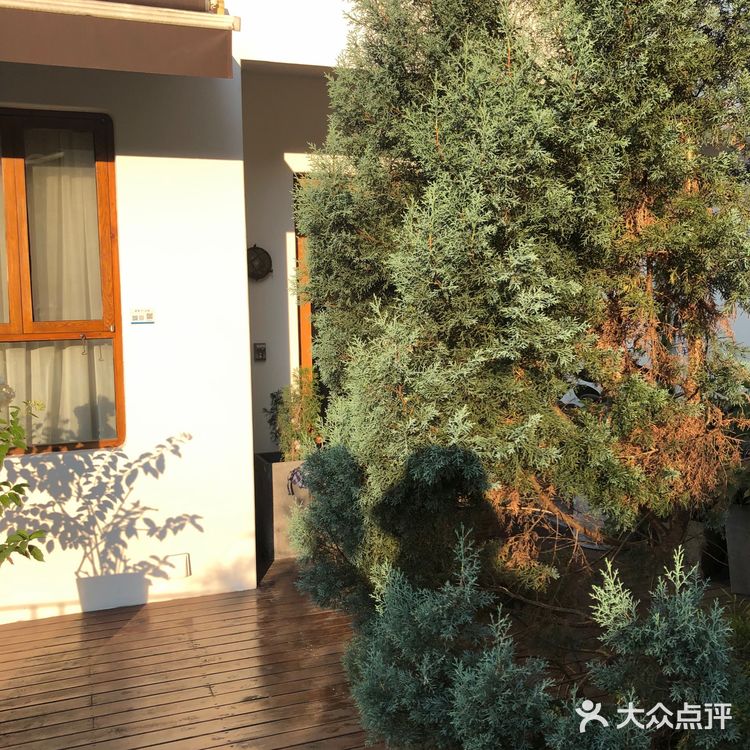 上山的环境还不错，路过南山路