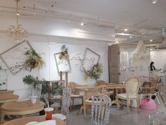 -共舞时光猫咖·狗咖(新街口店)