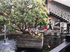 -猪肉婆私房菜(容桂总店)