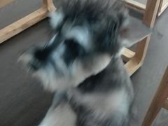 -仰生如卉推拿养生馆(酒仙桥店)