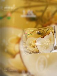 -紫御国际抗衰ZOE ANTI AGING