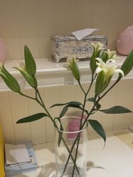 -北京俪婴妇产医院(朝阳大悦城店)