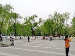 -丰台花园