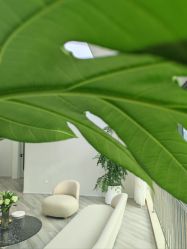 -HEYAN荷妍专业脱毛连锁机构