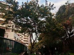 -铁路文化公园