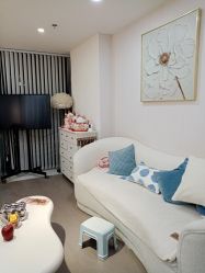 -芮悦·璀璨无创洗眉·专业洗眼线·专业洗唇