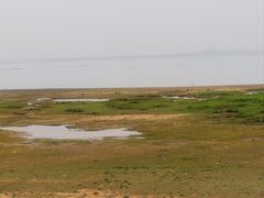 -鄱阳湖国家湿地公园