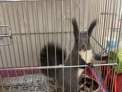 -爱宠屋pet shop·宠物洗澡·宠物美容