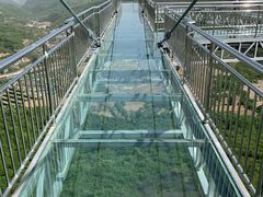 -铜川市金锁关石林