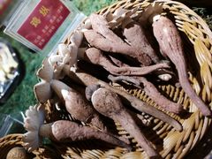 -朱家小厨(红塔西路店)