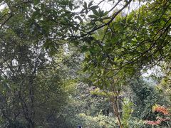 -火炉山森林公园