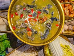 -Darling Queen·Mini·Live·House